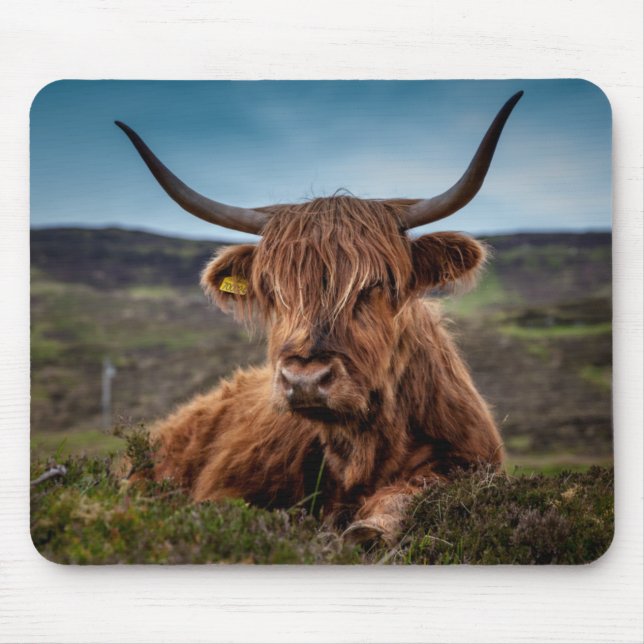 Schottischer Viehzüchter Hochland-Kuh-Longhorns Mousepad (Vorne)