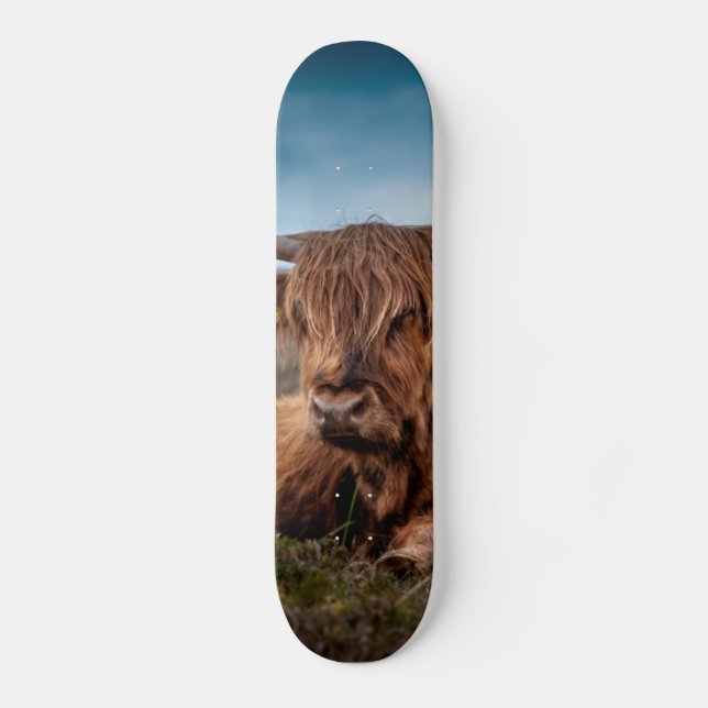 Schottischer Viehzüchter Hochland-Kuh-Longhorns Skateboard (Vorderseite)