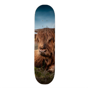 Schottischer Viehzüchter Hochland-Kuh-Longhorns Skateboard
