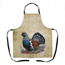Schottisches Auerhuhn auf Heidekraut mit Feder und