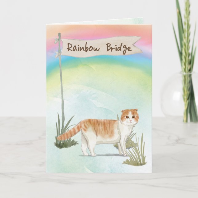 Schottisches Falten Katzenmatte Beileid über Rainb Karte (Vorderseite)