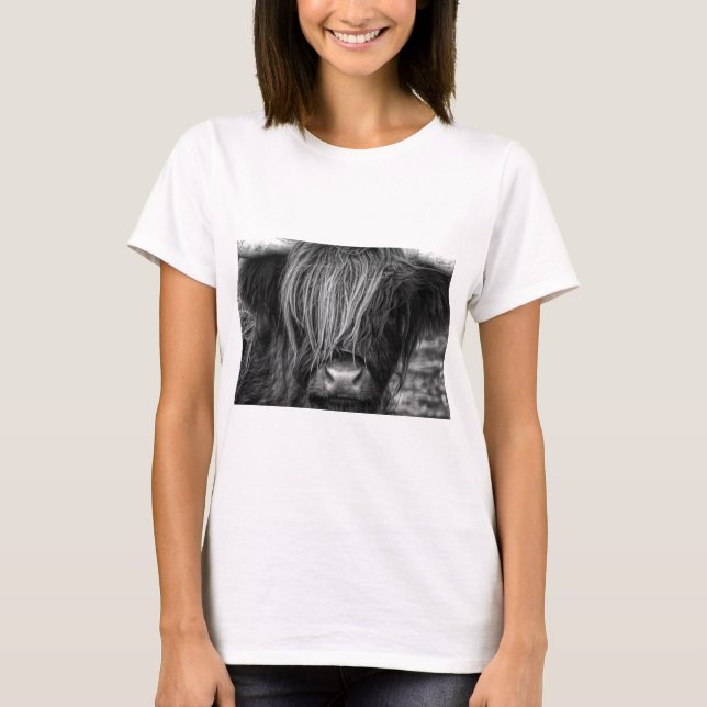 Schottisches Hochland-Vieh - Schottland T-Shirt (Vorderseite)