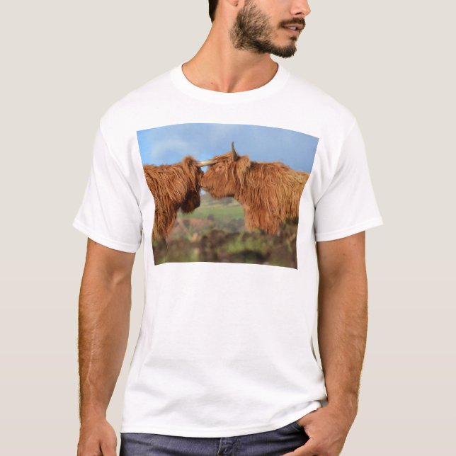 Schottisches Hochland-Vieh T-Shirt (Vorderseite)
