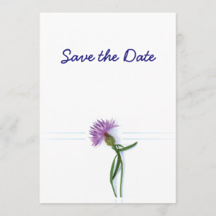 Schottisches, keltisches Hochzeits-Distel-Thema Sa Einladung