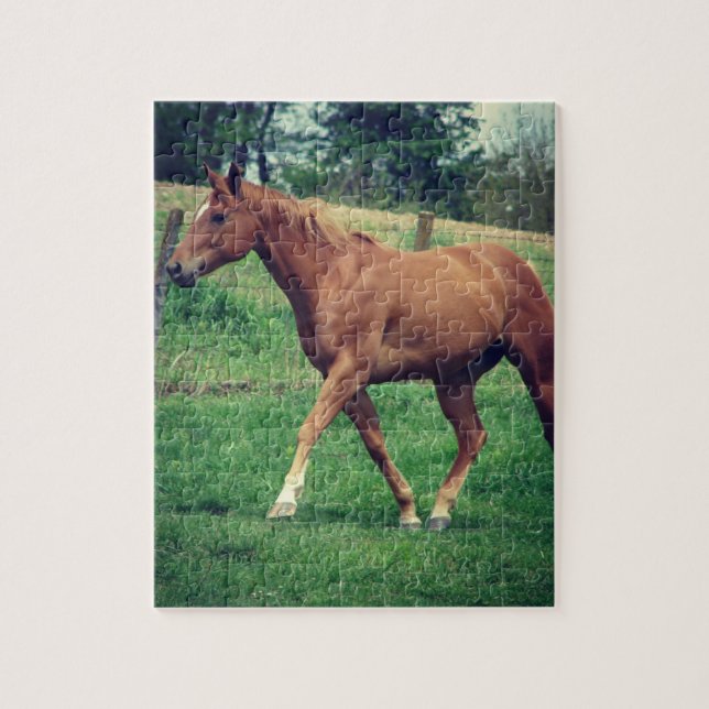 Schottland (Vertikal)