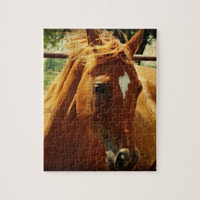 Schottland (Vertikal)