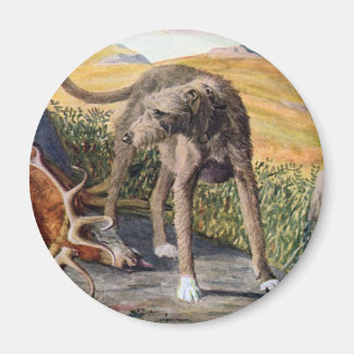 Schottland deerhound magnet