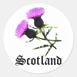 Schottland, Dick Runder Aufkleber