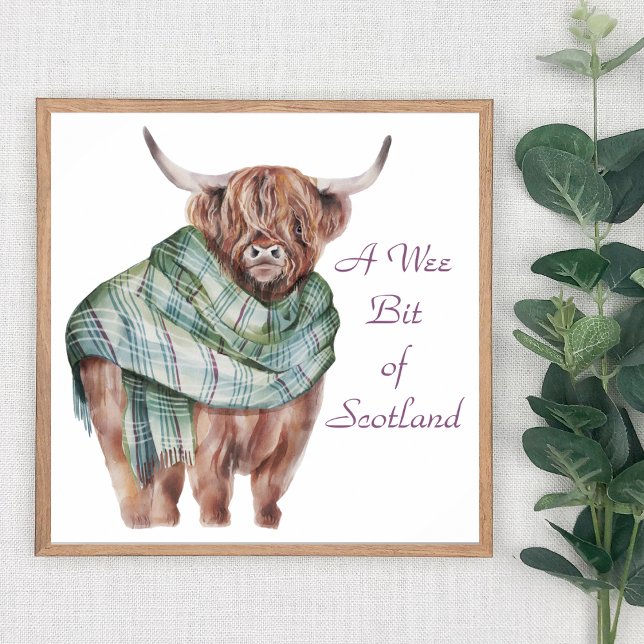Schottland Highland Cow in Tartan Karierte Tierart Poster (Von Creator hochgeladen)
