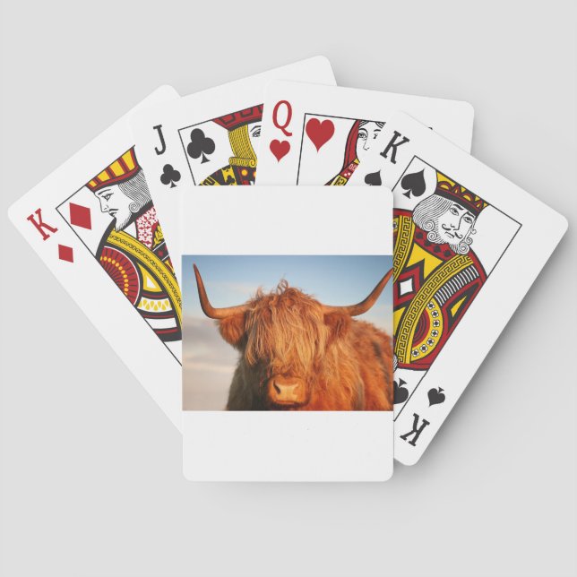 Schottland Highland Cow - Schottland Spielkarten (Rückseite)