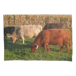 Schottland Highland Cows Grazing Kissenbezug