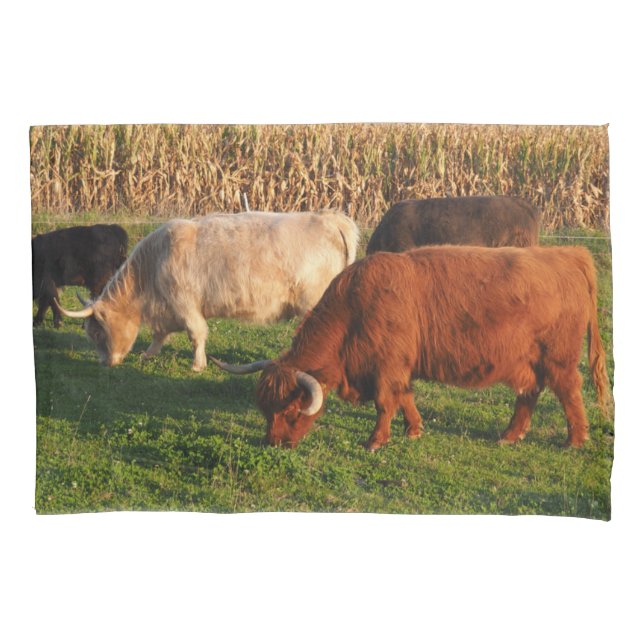 Schottland Highland Cows Grazing Kissenbezug (Vorderseite)