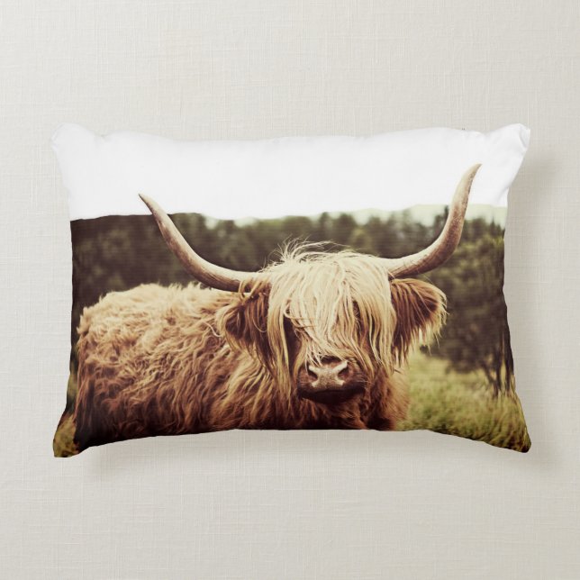 Schottland Highland Long Hairs Cow Dekokissen (Vorderseite)