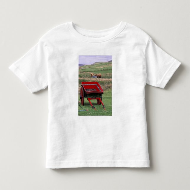 Schottland, Insel Skye, Kilmuir. Nutztiere Kleinkind T-shirt (Vorderseite)