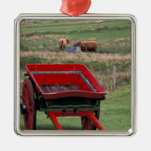 Schottland, Insel Skye, Kilmuir. Nutztiere Silbernes Ornament