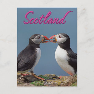 Schottland Postkarte
