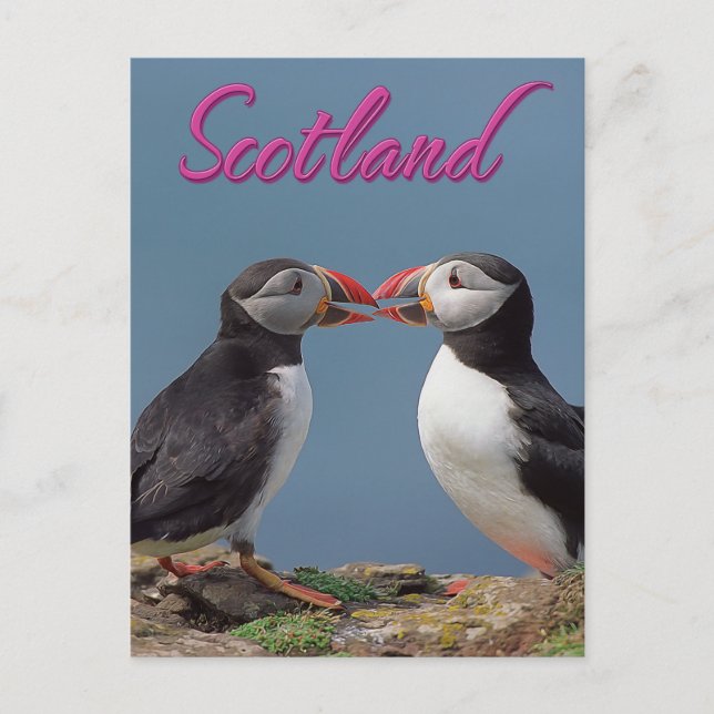 Schottland Postkarte (Vorderseite)