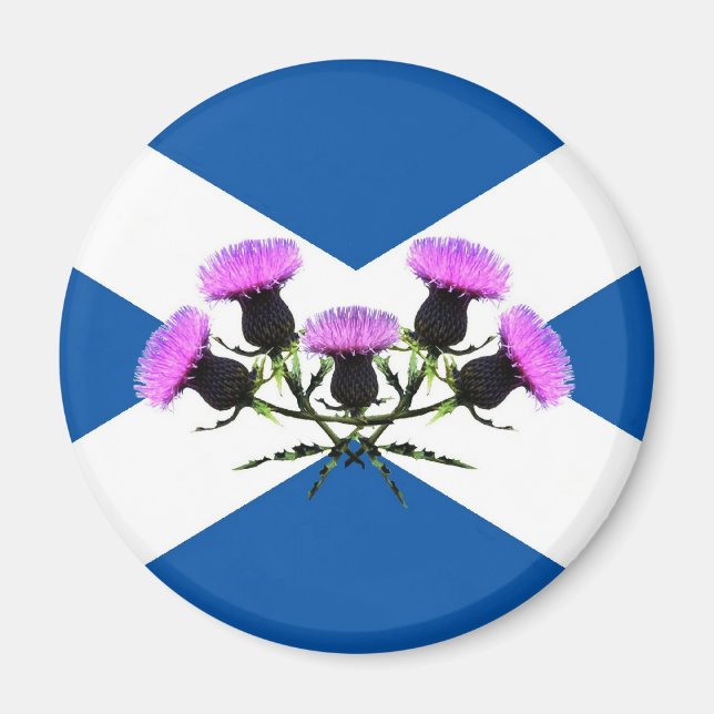 Schottlands Blume, Thistle Magnet (Vorne)