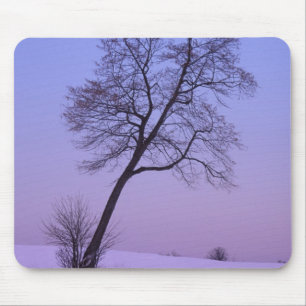 Schräger Baum im schneebedeckten Feld; Chippewa Co Mousepad