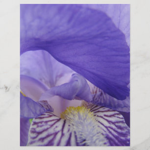 Schrapbookpapier Lila Schwertlilien Blumen Iris Fl