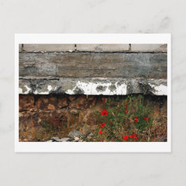 Schrapnell und Pappi, Sarajevo Postkarte