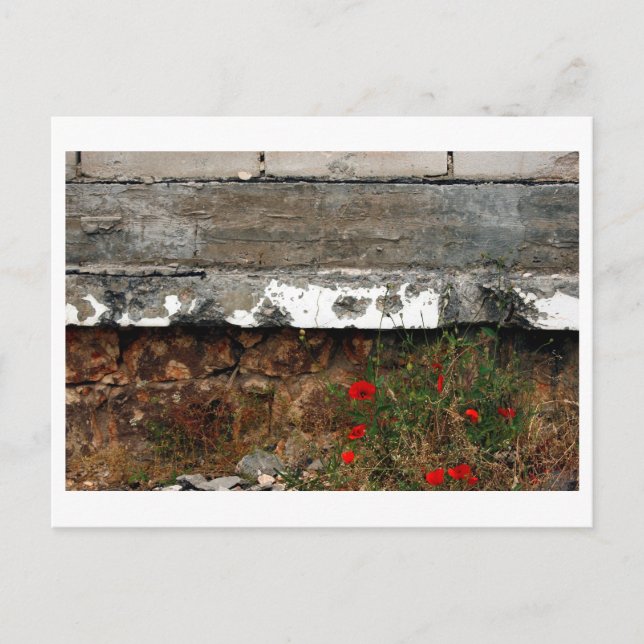 Schrapnell und Pappi, Sarajevo Postkarte (Vorderseite)