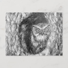 Schraubenschnecken Schüssel Holzkohle Schwarz & We Postkarte