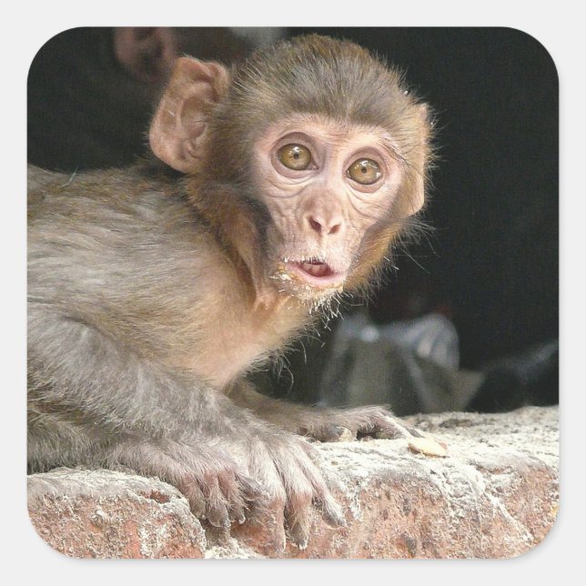 Schrecklicher Affe mit großen Augen Quadratischer Aufkleber (Vorderseite)