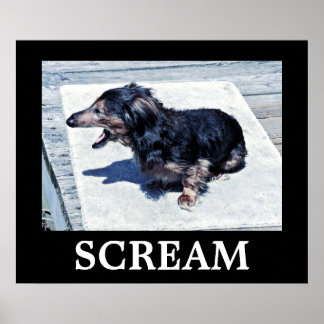 Schrei Poster