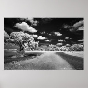 Schrei-Straßen-Plakat Poster