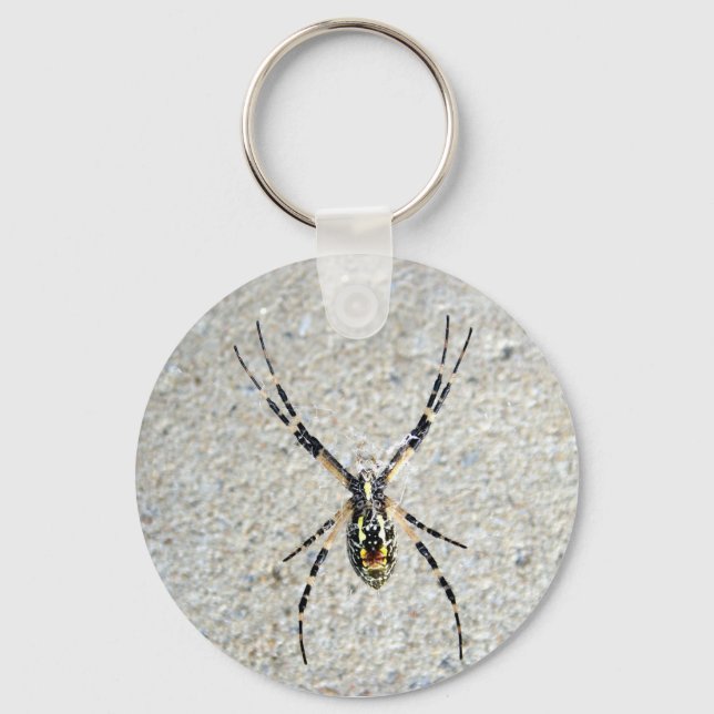 Schreib-Spider-Schlüsselanhänger Schlüsselanhänger (Vorderseite)