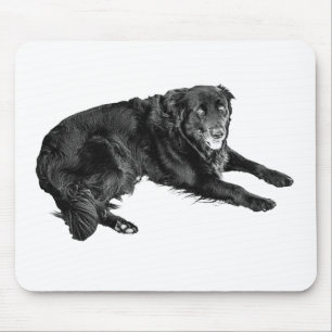 Schreibtischtage in freundlicher Gesellschaft Mousepad