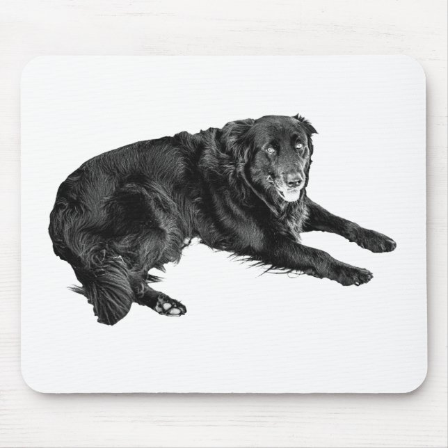 Schreibtischtage in freundlicher Gesellschaft Mousepad (Vorne)