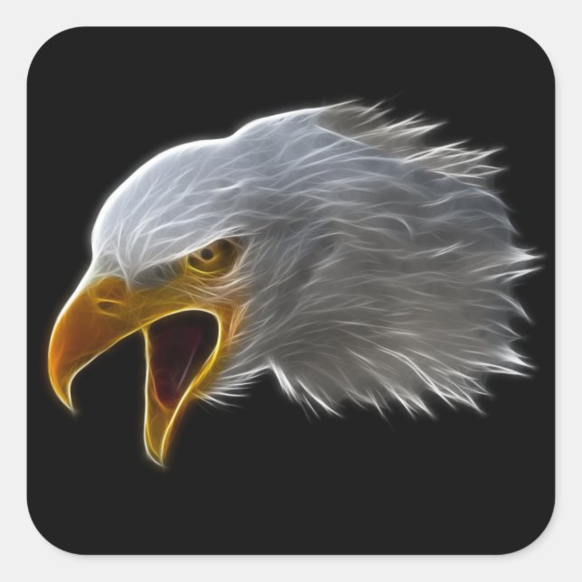 Schreie American Bald Eagle Head Quadratischer Aufkleber (Vorderseite)