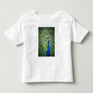 Schreiender Pfau Kleinkind T-shirt