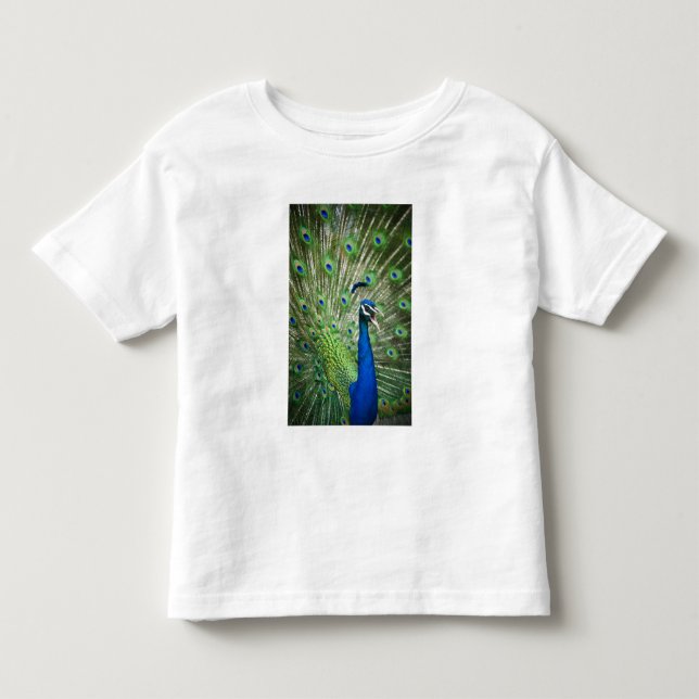 Schreiender Pfau Kleinkind T-shirt (Vorderseite)