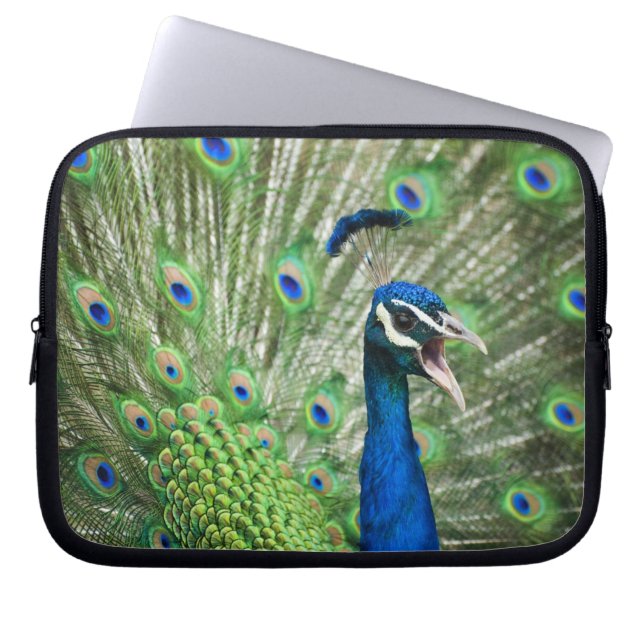 Schreiender Pfau Laptopschutzhülle (Vorderseite)