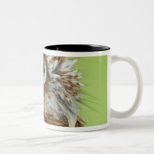 Schreieulenporträt Zweifarbige Tasse