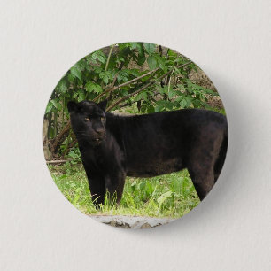 Schreitenes Panther-Button Button