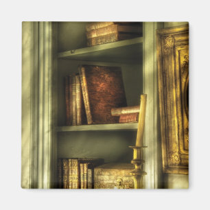 Schriftsteller - In der Bibliothek Magnet
