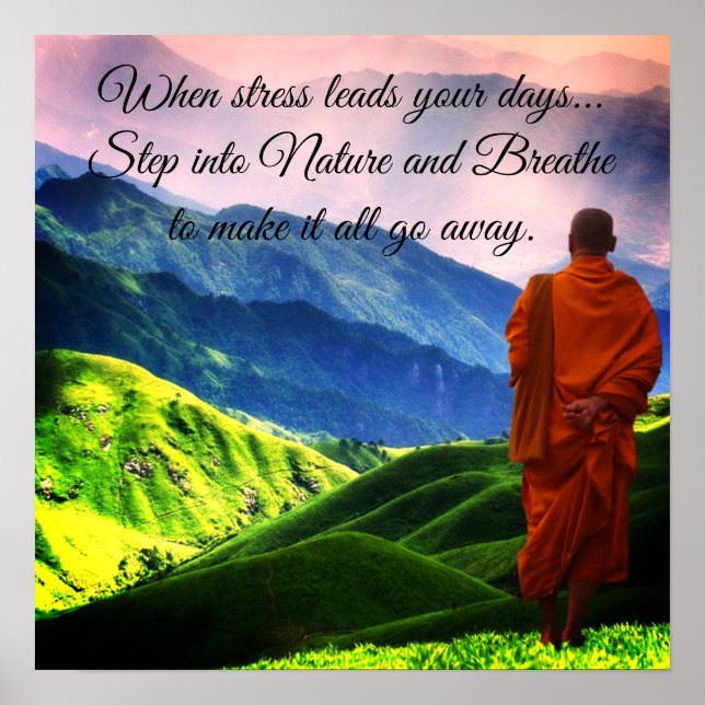 Schritt in die Natur Poster (Vorne)