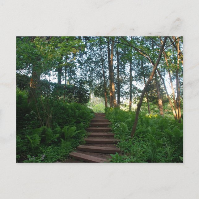 Schritte auf einem Naturwanderweg Postkarte (Vorderseite)