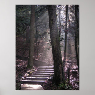 Schritte zur Erleuchtung Poster