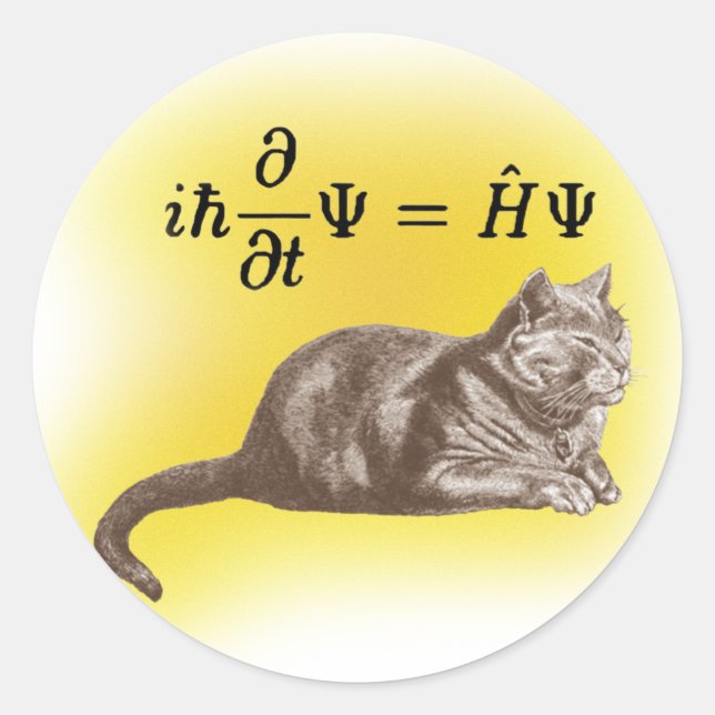 Schrodinger Cat Runder Aufkleber (Vorderseite)
