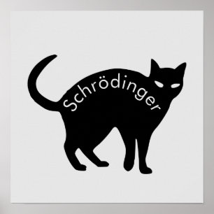 Schrödinger-Katze Poster