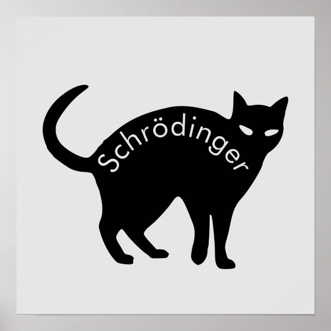 Schrödinger-Katze Poster (Vorne)