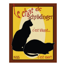 Schrodinger-Katze