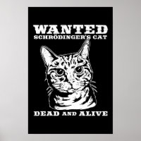 Schrodinger-Katze wollte tot oder lebendig