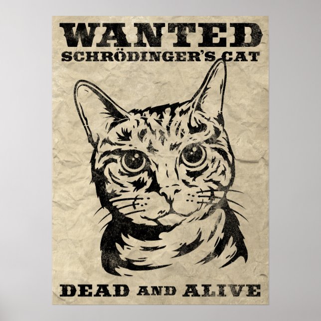 Schrodinger-Katze wollte tot oder lebendig Poster (Vorne)