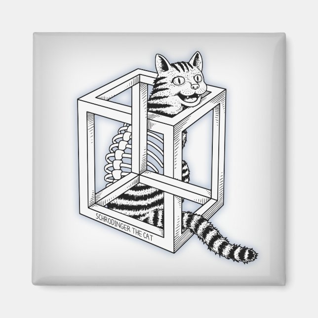 Schrodinger Magnet (Vorne)